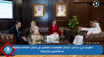 “كهرباء دبي” و”شل” تبدأان مفاوضات للتعاون في مجال الطاقة النظيفة.. ما تفاصيل الشراكة؟